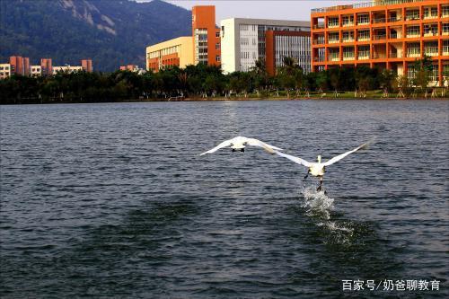 IM体育这7个大学专业本科就业没出路考上研究生就成“香饽饽”(图6)