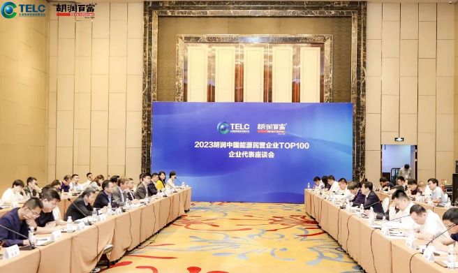 IM体育隆基、阳光电源、通威等5家光伏公司排进前十！胡润发布中国能源民营企业百强榜！(图1)